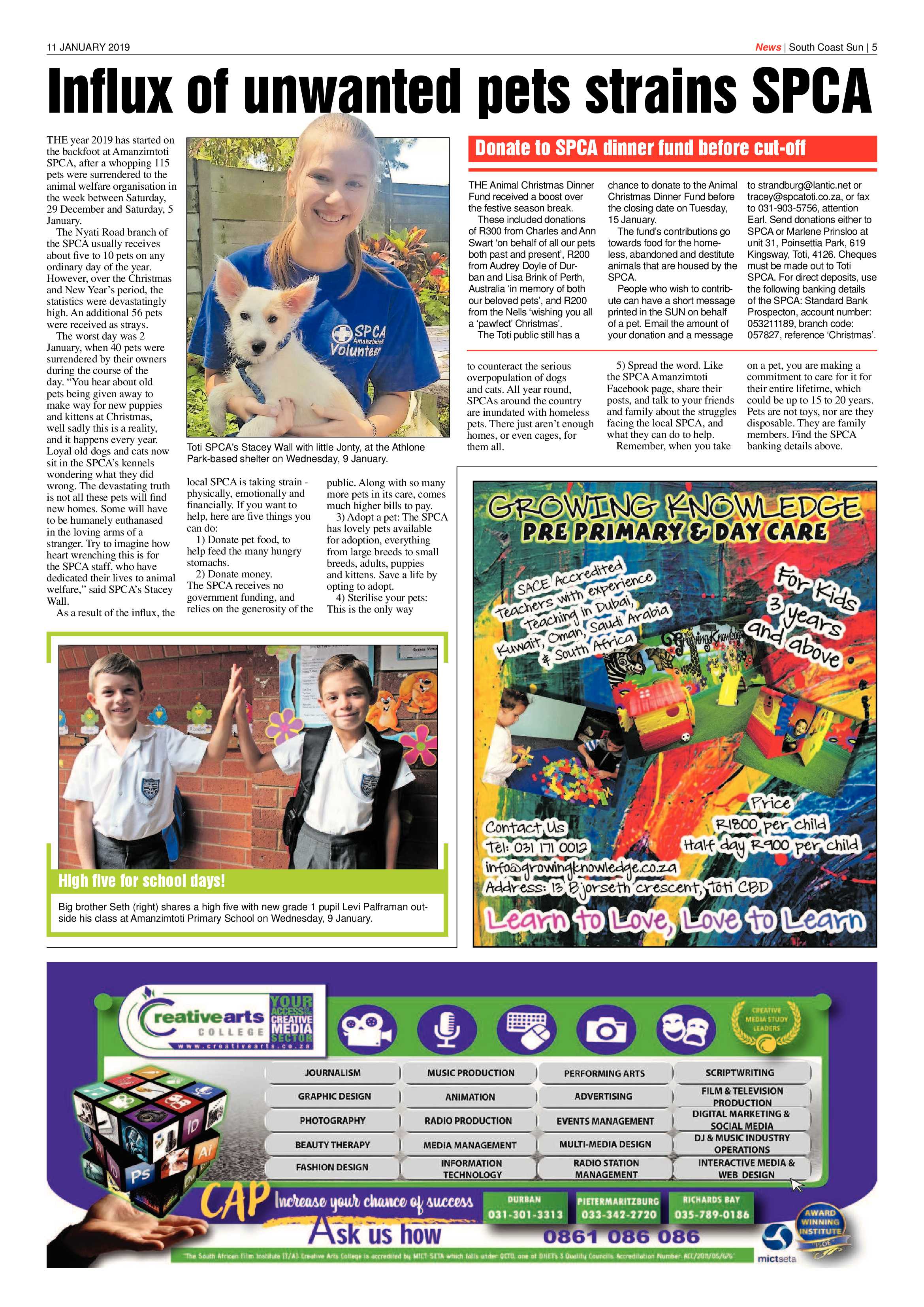 11 January 2019 page 5