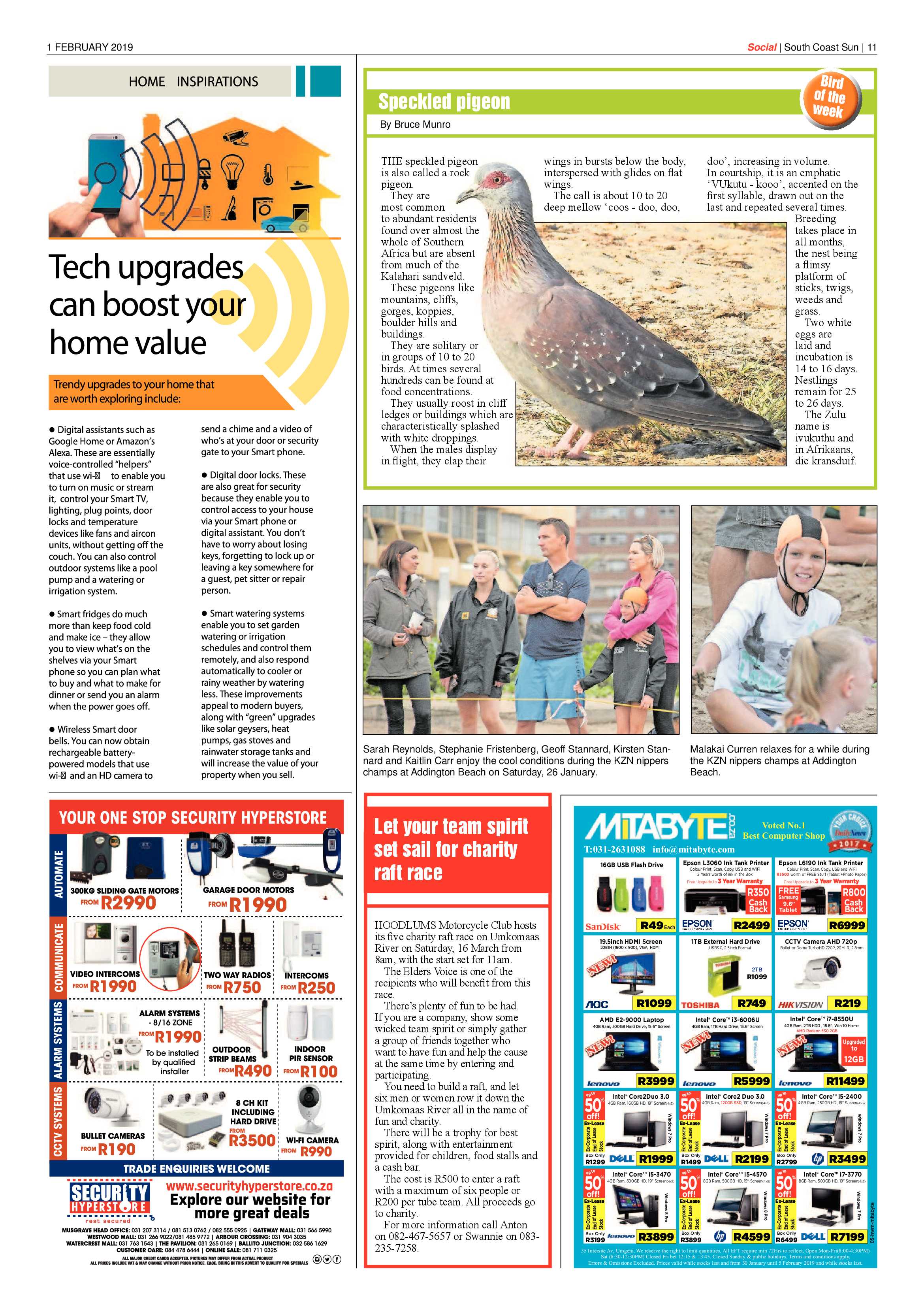 1 February 2019 page 11