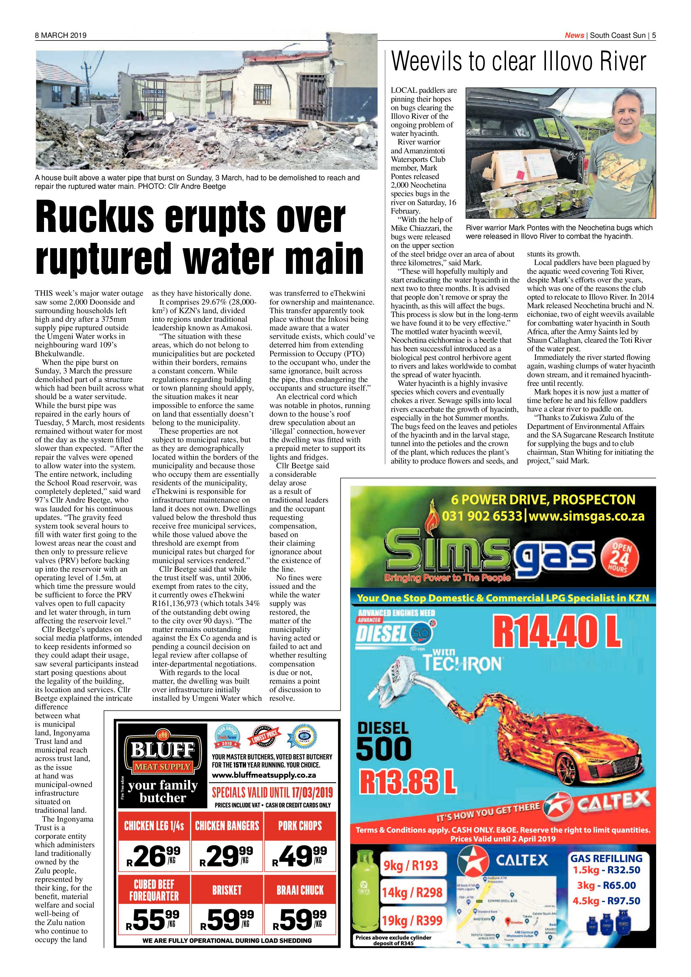 8 March 2019 page 5