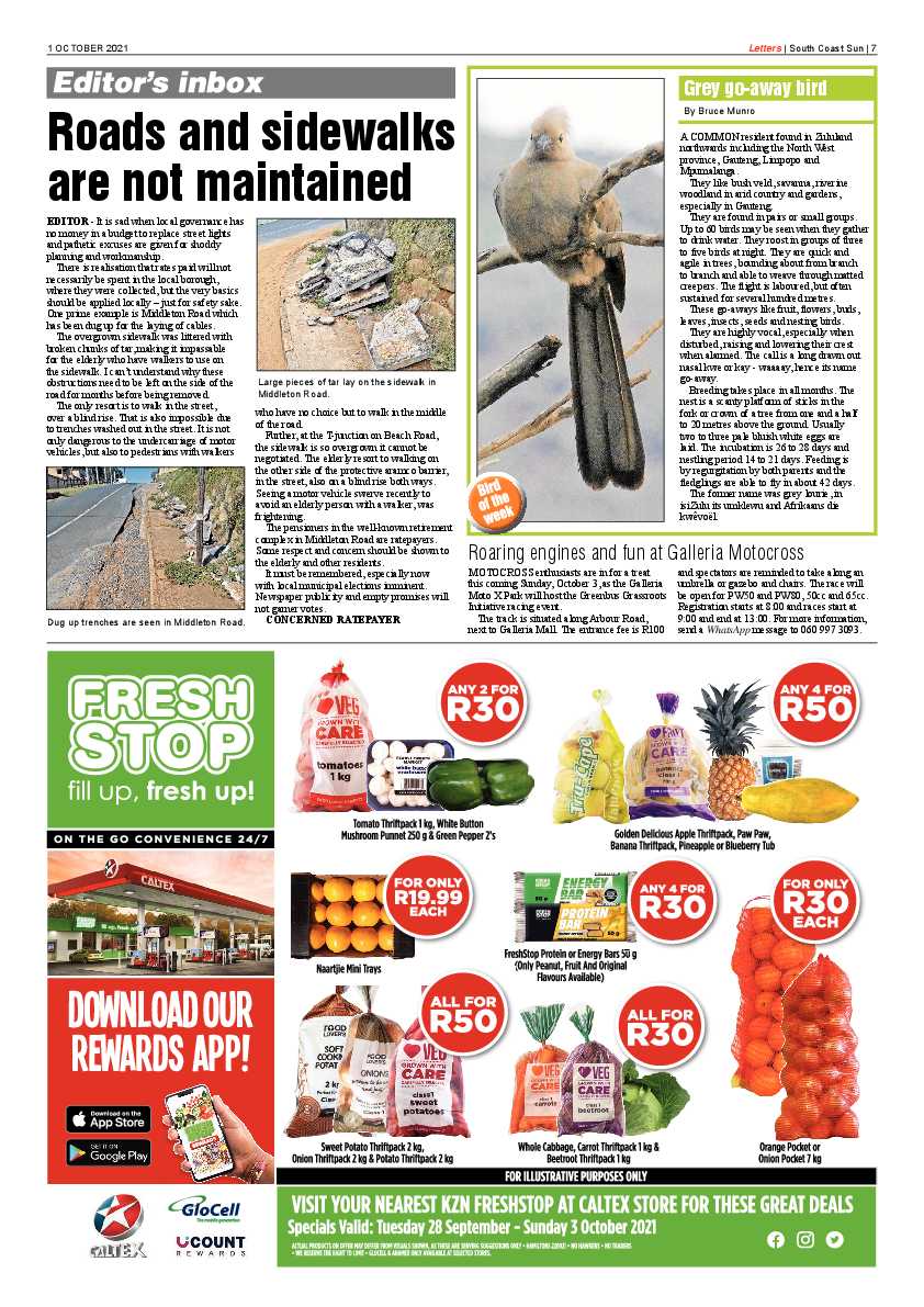 South Coast Sun 01 October 2021 page 7