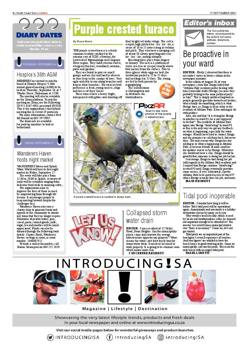 South Coast Sun 17 September  2021 page 7