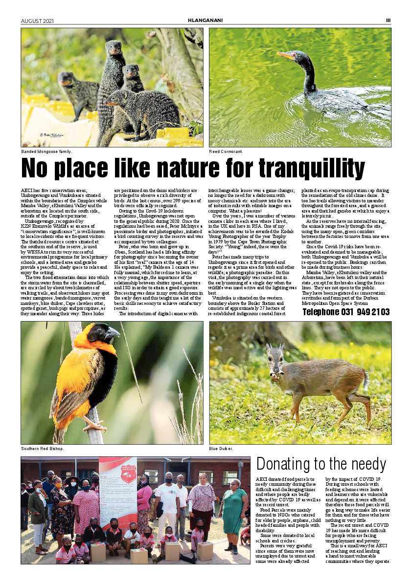 South Coast Sun 27 August  2021 page 11