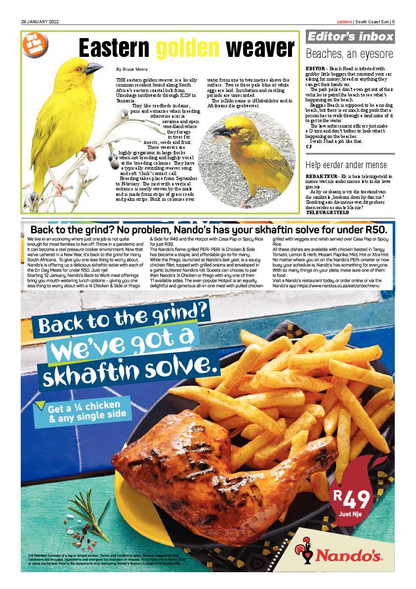 South Coast Sun 28 January 2022 page 5