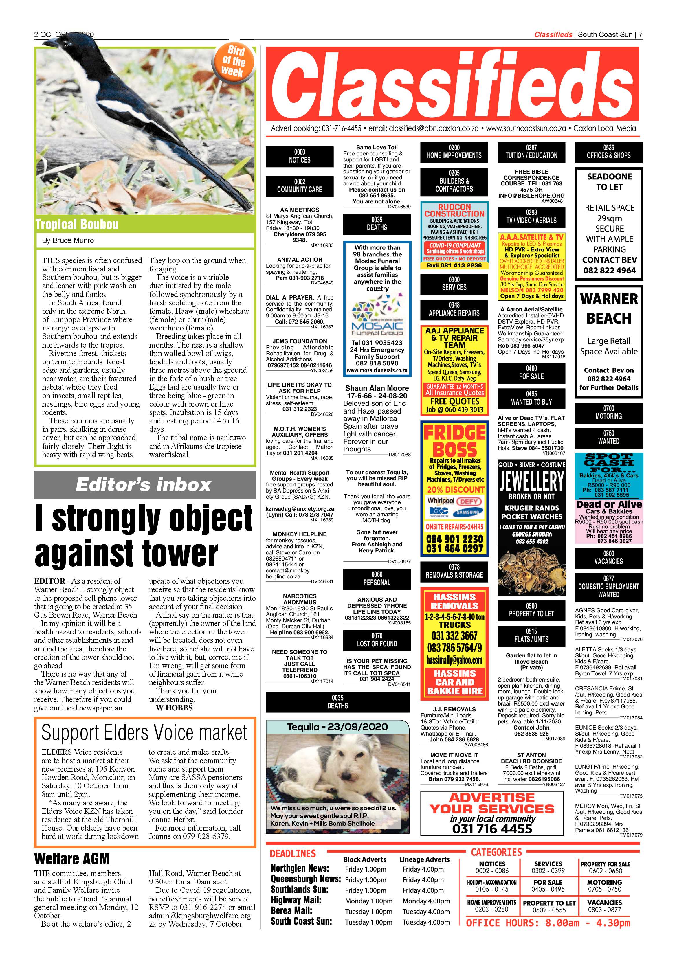 South Coast Sun 2 October 2020 page 7