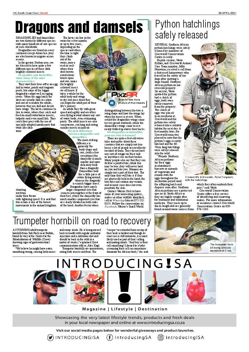 South Coast Sun 30 April 2021 page 14