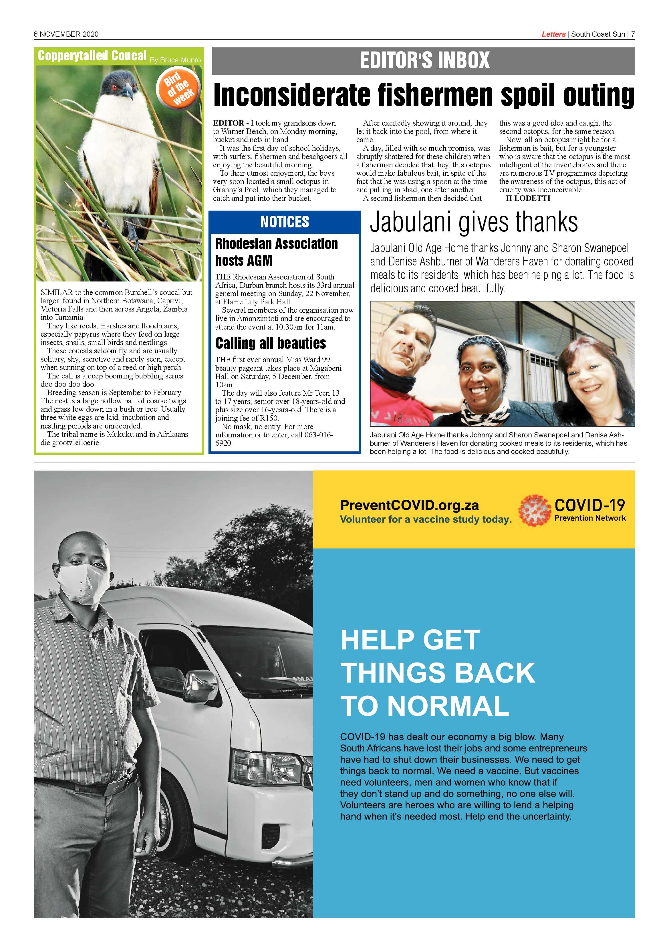 South Coast Sun 6 November 2020 page 7